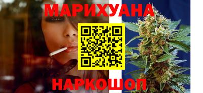 сатива Кандалакша