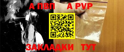 хмурый Кингисепп