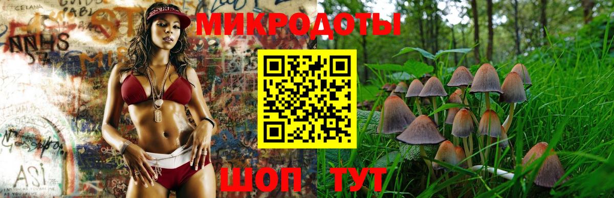 где продают   Вход с VPN  Псилоцибиновые грибы Cubensis  Кудрово  Псилоцибиновые грибы GOLDEN TEACHER 
