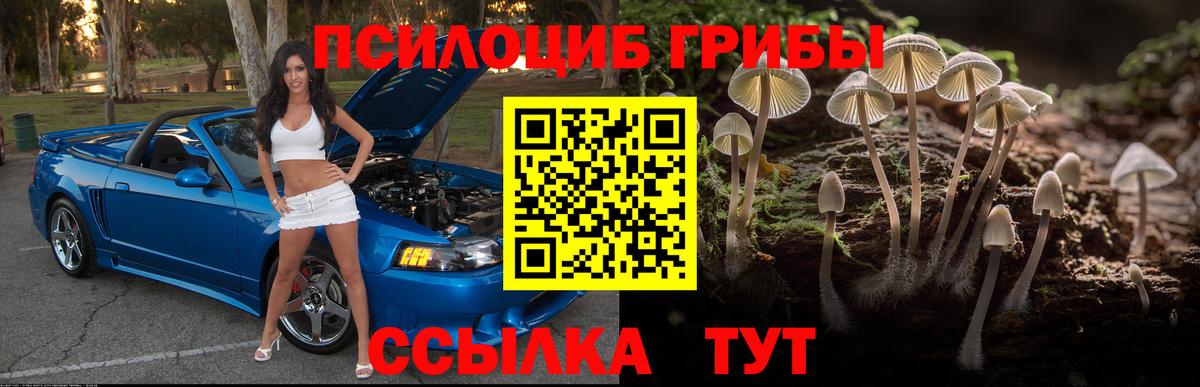 Псилоцибиновые грибы мицелий Кудрово